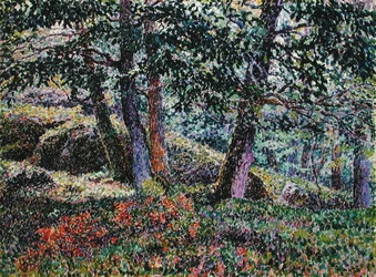 Querce e Cespugli di Mirtilli