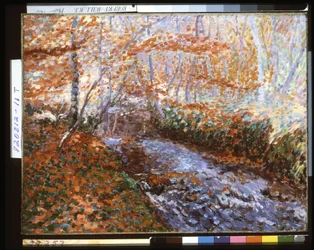Il fiume Briante (interno della foresta in autunno)