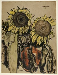 Girasoli
