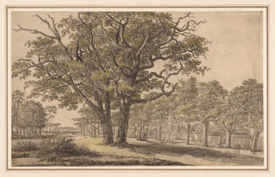 Paesaggio (recto)
