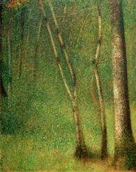 Sottobosco a Pontaubert