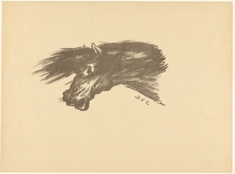 Testa di cavallo