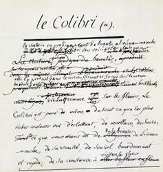 Manoscritto di Buffon sul Colibrì. sd. XVIII secolo