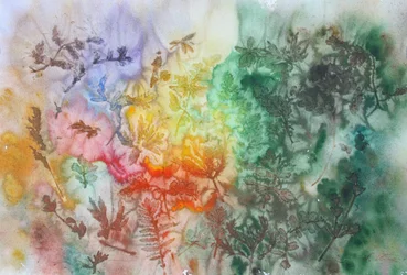 Un vivace arcobaleno botanico