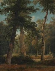 Un bosco a Fontainebleau