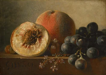 Frutti