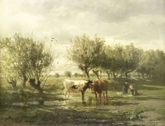 Mucche in uno stagno