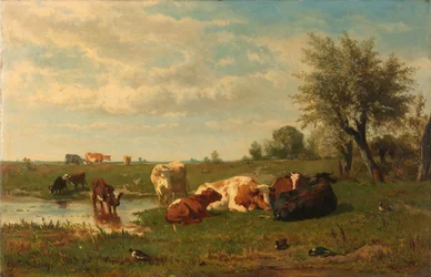 Mucche nel prato