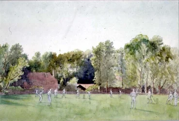 La partita di cricket