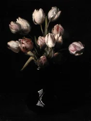 Tulipani in un vaso