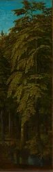 Veduta in una foresta, 1505-1515 circa (olio su tavola)