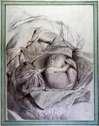 Rappresentazione di un feto umano in un utero
