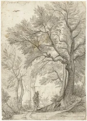 Bosco della Villa Madama fuori Roma