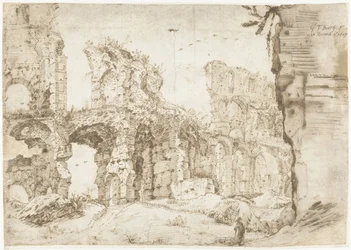 Rovine del Colosseo, Roma, viste dall