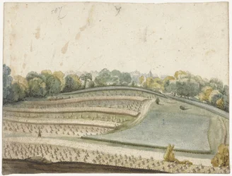 Panorama di un campo di grano ondulato visto dall