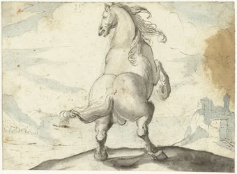 Cavallo impennato davanti a un porto italiano