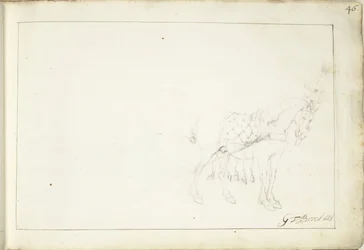 Cavallo, verso destra