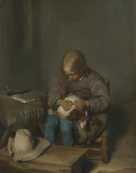 Un ragazzo che toglie le pulci a un cane
