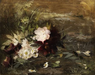 Olandese: Fiori di Seerosen e margherite sulla spiaggia