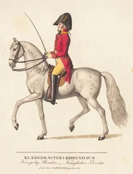 Cavaliere reale