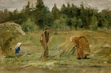Il campo dell