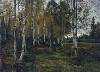Foresta di betulle in autunno