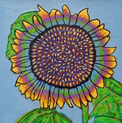 Girasole gioioso II, 2024 (olio su tela)
