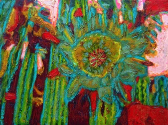 Fiore di cactus San Pedro