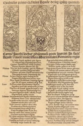 Allegoria dell