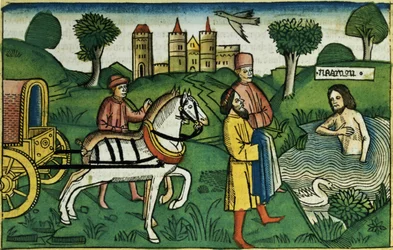 La purificazione di Naaman, dalla Bibbia di Norimberga (Biblia Sacra Germanaica)