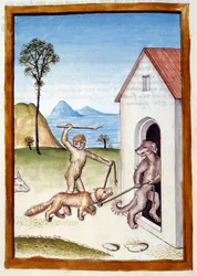 Un cane e una scimmia tiranneggiano una donnola. Animali raffigurati in postura maschile. Miniatura tratta da una traduzione tedesca delle favole di Kalila e Dimna di Bidpai