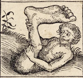 Un sciopode, Uomo con un piede gonfio, da 