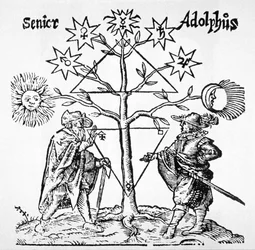 Albero Alchemico, Diagrammatico ed Emblematico, da Museum Hermeticum di Thomas Norton (1749) illustrato in una storia della magia pubblicata alla fine del XIX secolo