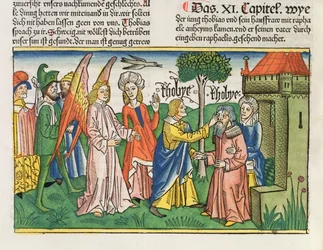 Apocrifi: Tobia restituisce la vista al padre Tobit con il fiele di un pesce, dalla Bibbia di Norimberga (Biblia Sacra Germanaica)