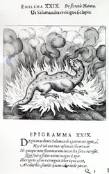 Come la salamandra vive nel fuoco, così anche la pietra, Emblema XXIX da Atalanta fugiens di Michael Maier, 1617