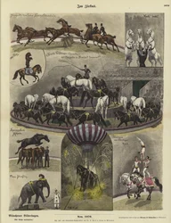 Al circo