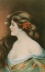 Bellezza con lunghi capelli castani