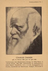 Charles Darwin (1809-1882), naturalista inglese (litografia)