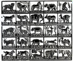 Collezione di animali