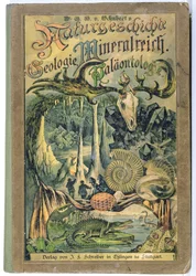 Copertina di Naturgeschichte, Geologie, Mineralreich, Palaontologie di Dr. H. von Schubert, Stoccarda, 1888