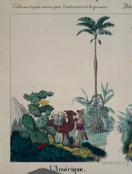 Manifesto didattico con flora e fauna del Sud America, lato sinistro, pubblicato da F. Wentzel, Weißenburg, 1840
