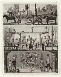 Ginnastica e acrobazie