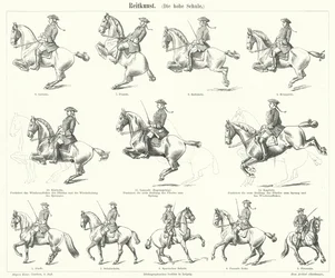 Equitazione (incisione)