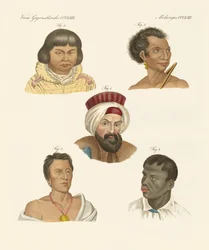 Illustrazione delle principali razze umane