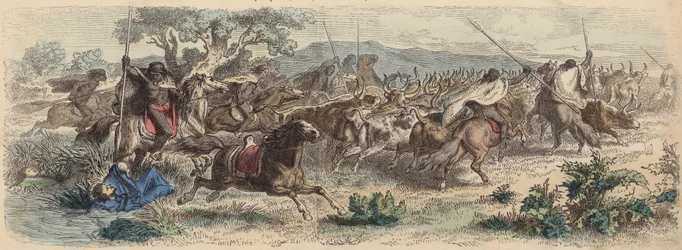 Indiani che sorprendono i Gauchos nelle Pampas e fuggono con la loro mandria di bovini
