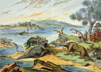 Paesaggio raffigurante il periodo Cretaceo (da 146 a 65 milioni di anni fa), illustrazione da Storia naturale della mineralogia e della paleontologia di G. H. von Schubert, 1888