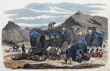 Caricamento degli elefanti per il viaggio del signor Bock a Dresda. In “Wenn Jemand eine Reise thut, so kann er was erzahlen” (Quando qualcuno viaggia, questo è ciò che può raccontare), racconto tedesco di Franz Wiedemann.