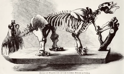 Scheletro di Megatherium al British Museum