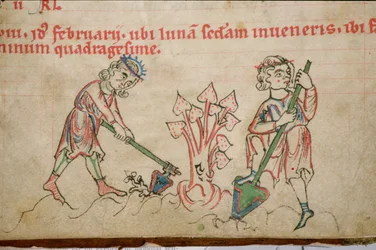 Ms 54 f.37 Febbraio: Zappatura, Salterio cistercense