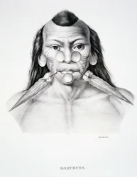 Uomo nativo della tribù Maxuruna, con decorazione facciale, da Atlas of a Journey in Brazil di Dr von Spix e Dr von Martius